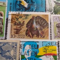 Лот Пощенски марки смесени серий ЖИВОТНИ от цял свят за КОЛЕКЦИЯ 22629, снимка 7 - Филателия - 40364741