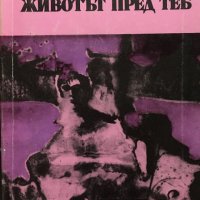 Ромен Гари - Голям гальовник. Животът пред теб (1986), снимка 1 - Художествена литература - 37768658