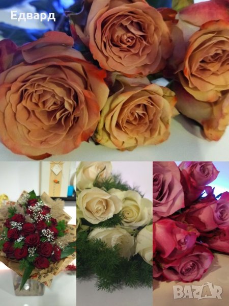 Рязан цвят и опаковане на подаръци, снимка 1