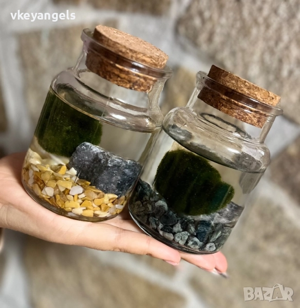 Маримо-топка на мечтите, снимка 1