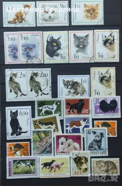 Кучета и котки / марки/ К.2, снимка 1