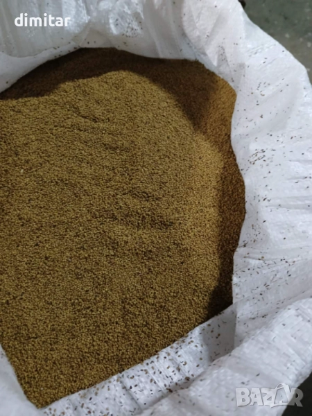 Семе люцерна , снимка 1