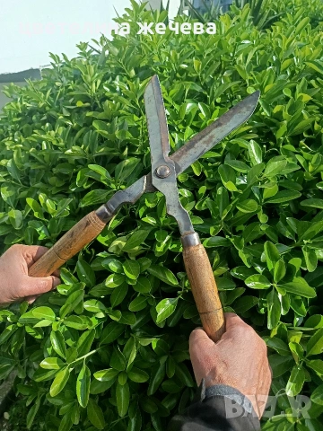 Ножица за храсти 