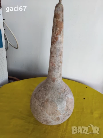 Семена домати и други зеленчуци , снимка 17 - Сортови семена и луковици - 51342295