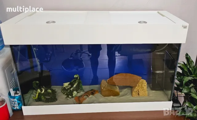Аквариуми, снимка 9 - Аквариуми - 48633836