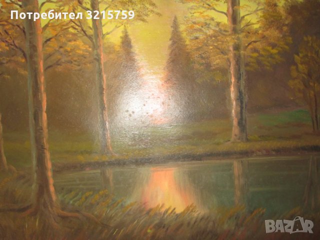 Картина -масло в/у картон, пейзаж ,60х40см., снимка 3 - Картини - 35262606