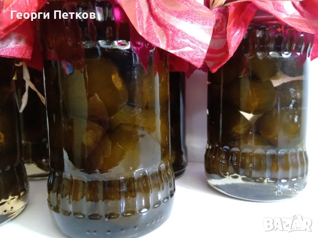 Смокини разсад в кофичка., снимка 6 - Градински цветя и растения - 56493361