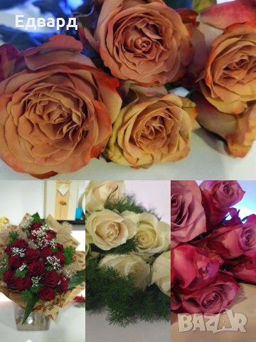 Рязан цвят и опаковане на подаръци