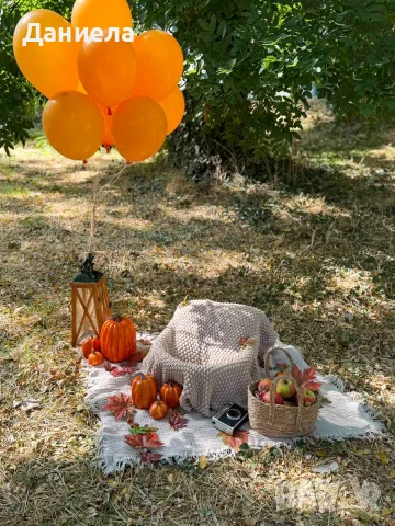 Декор за детска фотосесия под наем 