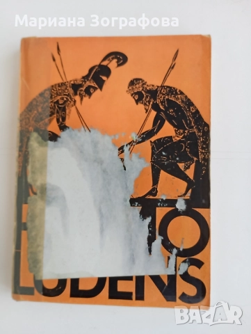 Картини с маслени бои - Худ. М. Зографова, - и Стари книги 5 бр., снимка 16 - Картини - 51310441