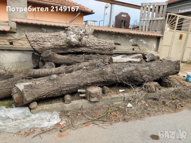 Дървен материал на трупи , снимка 3 - Други - 53972698
