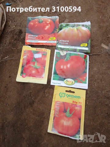Продавам разсад от български сортове домати., снимка 2 - Разсади - 53905405