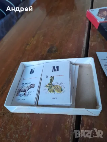 Старо домино Зоологическа градина #2, снимка 3 - Други ценни предмети - 49469194