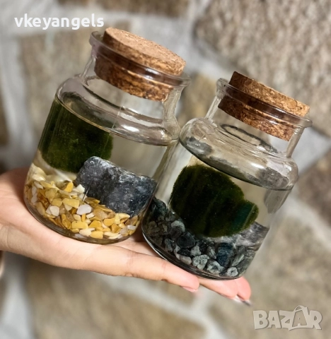 Маримо-топка на мечтите