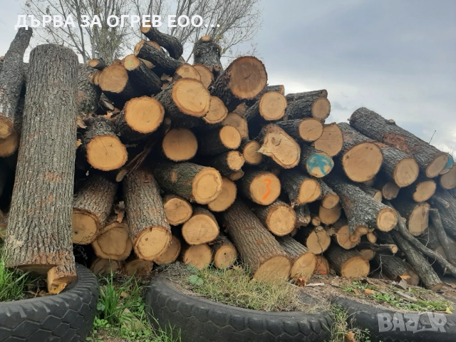 предлагам дърва за огрев метровки дъб , снимка 3 - Дърва за огрев - 52466734