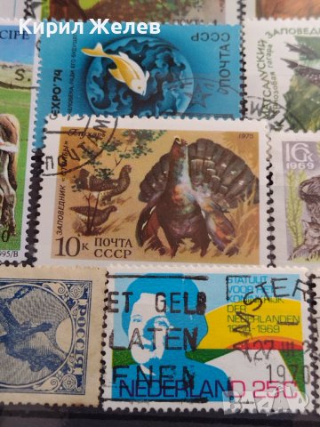 Лот Пощенски марки смесени серий ЖИВОТНИ от цял свят за КОЛЕКЦИЯ 22629, снимка 7 - Филателия - 40364741