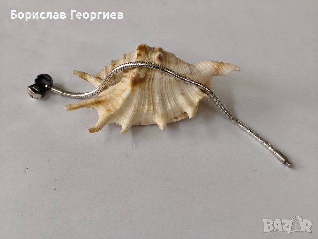 Оригинална сребърна гривна pandora