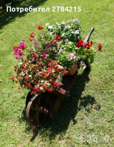 Косене на трева, почистване на дворове, тавани, мазета, гаражи, снимка 2 - Почистване на домове - 36874007