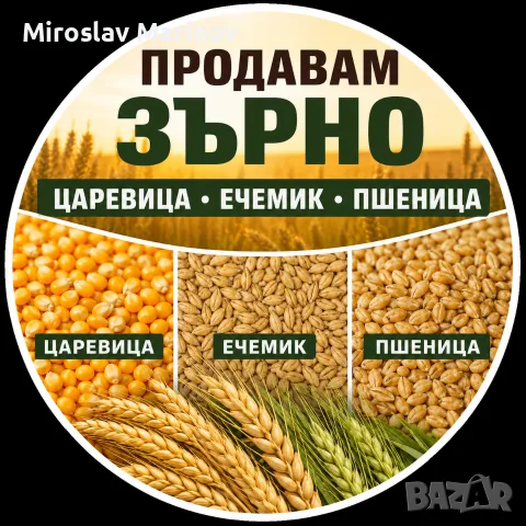 Пшеница, ечемик и слънчоглед – реколта 2026 г.