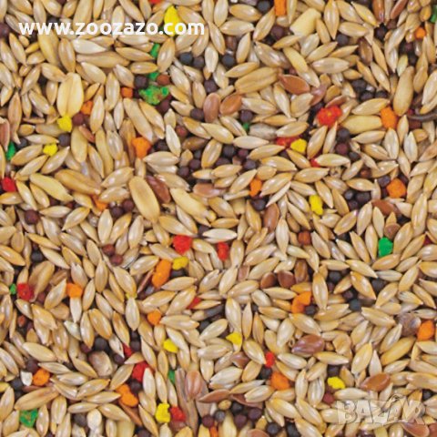 Висококачествена храна за Канари 1 кг. - Benelux Primus Canaries - Модел: 12103, снимка 2 - За птици - 39022793