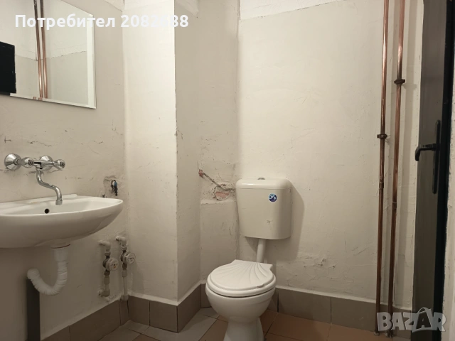 Стая , снимка 7 - Стаи под наем - 54070010