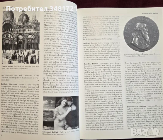 The Thames and Hudson Encyclopedia of the Italian Renaissance, снимка 7 - История, политика и общество - 55817532