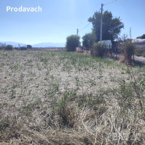 Топ парцел в село Сбор , снимка 3 - Парцели - 52516867