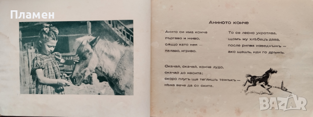 Другари-животни Ценко Цветанов, снимка 3 - Антикварни и старинни предмети - 44744649