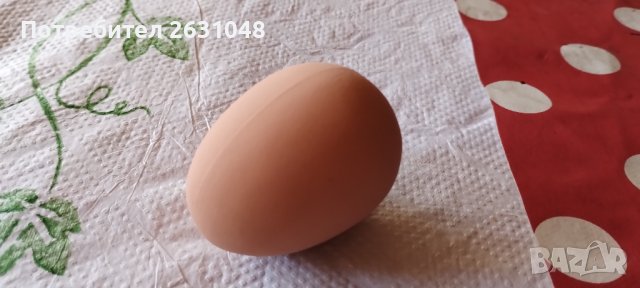 Изкуствени пластмасови яйца за кокошки тежки, снимка 14 - За птици - 40032040