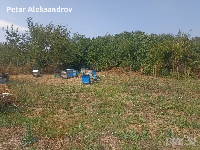 Къща в с.Дъбован , снимка 2 - Къщи - 55920289