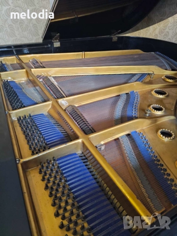 Немски акустичен роял Wolfram Dresden, снимка 4 - Пиана - 52813600