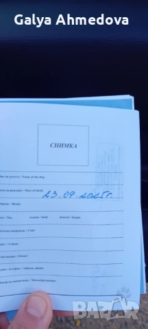 Лагото романьоло , снимка 5 - Други - 52537917