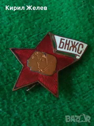 БНЖС Стара ЕМАЙЛИРАНА РЯДКА БРОНЗОВА СОЦ НРБ ЗНАЧКА ЖЕНСКИ СЪЮЗ 34260, снимка 7 - Колекции - 38970046