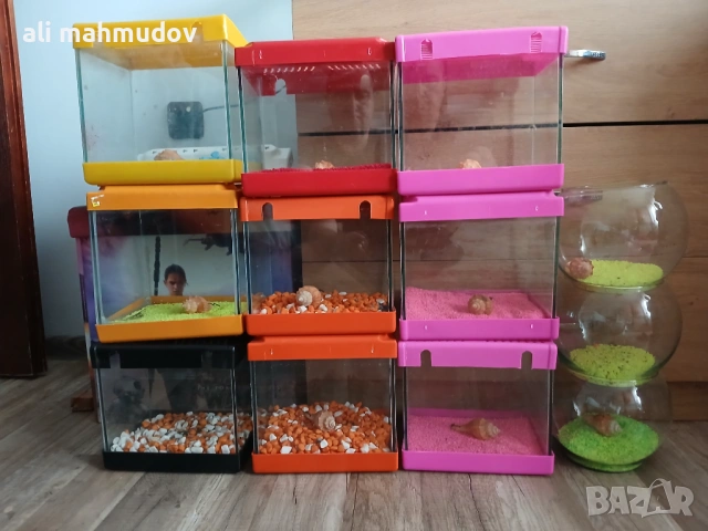 Аквариуми и рибки