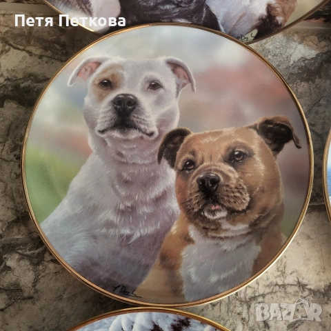 Чинии за стена , снимка 2 - Декорация за дома - 53054437