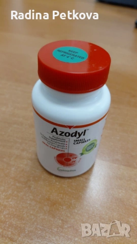 Azodyl - за подпомагане на бъбречна недостатъчност при кучета и котки