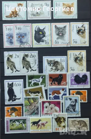 Кучета и котки / марки/ К.2, снимка 1