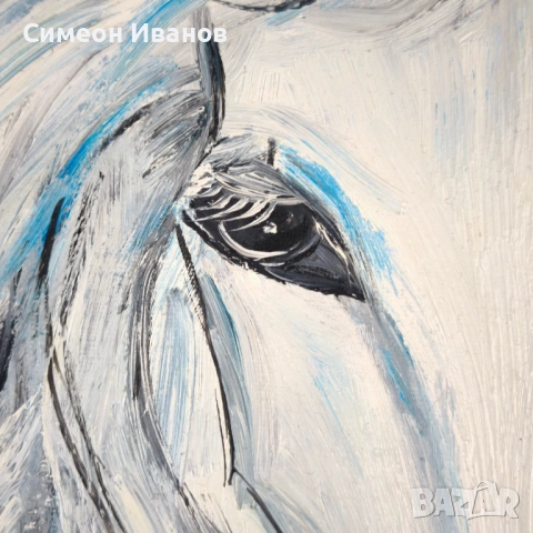 Интересна картина на кон подписана #6363 35 х 46 см, снимка 4 - Други ценни предмети - 53916462