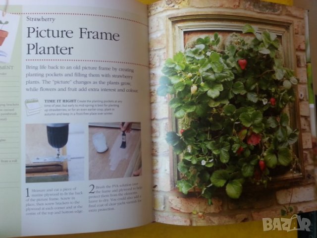 Small space Big Ideas / Как да направим градина на малка площ -англ.език, Наръчник по цветарство, снимка 6 - Специализирана литература - 34323997