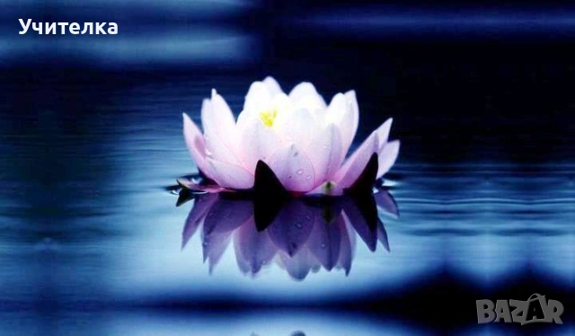 Уроци по математика Пловдив