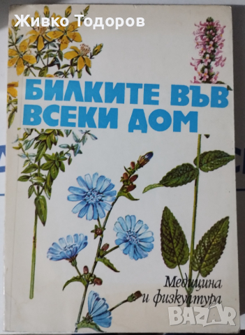 Билките във всеки дом - Душка Станева, Диана Панова, Лиляна Райнова, Иван Асенов