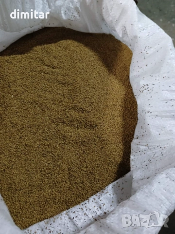 Семе люцерна 