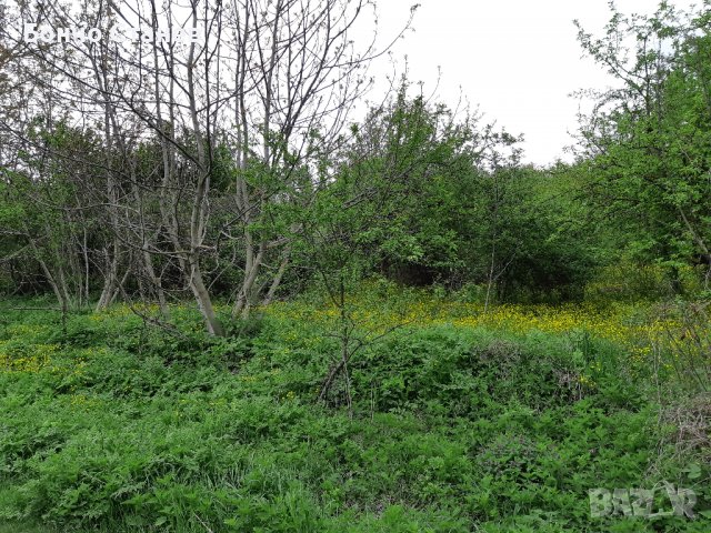 Продавам къща с парцел, снимка 2 - Парцели - 26810812