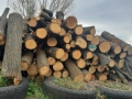 предлагам дърва за огрев метровки дъб , снимка 3