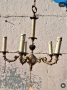 Бронзов полилей , снимка 7