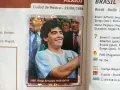 Лот празни и частично попълнени албуми Panini и DS, снимка 14