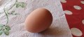Изкуствени пластмасови яйца за кокошки тежки, снимка 14