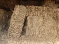 Бали сено и слама, снимка 1