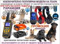 Електронен нашийник за куче, снимка 1 - Стоки за кучета - 33914308