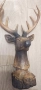 Нова Статуетка Елен - Трофей - Сувенир Еленче с Рога - 36см, снимка 6
